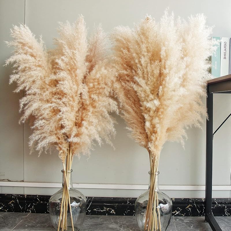 Natural Pampas Grass 40 Inch, 10 Stems